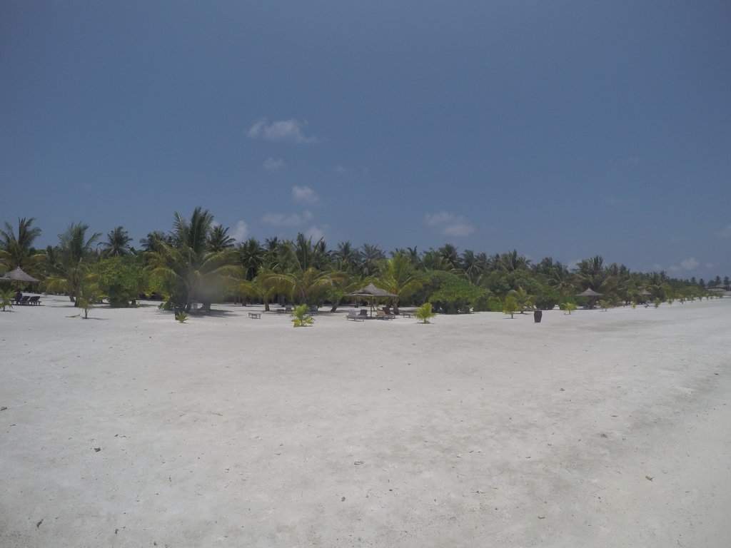 GOPR0362