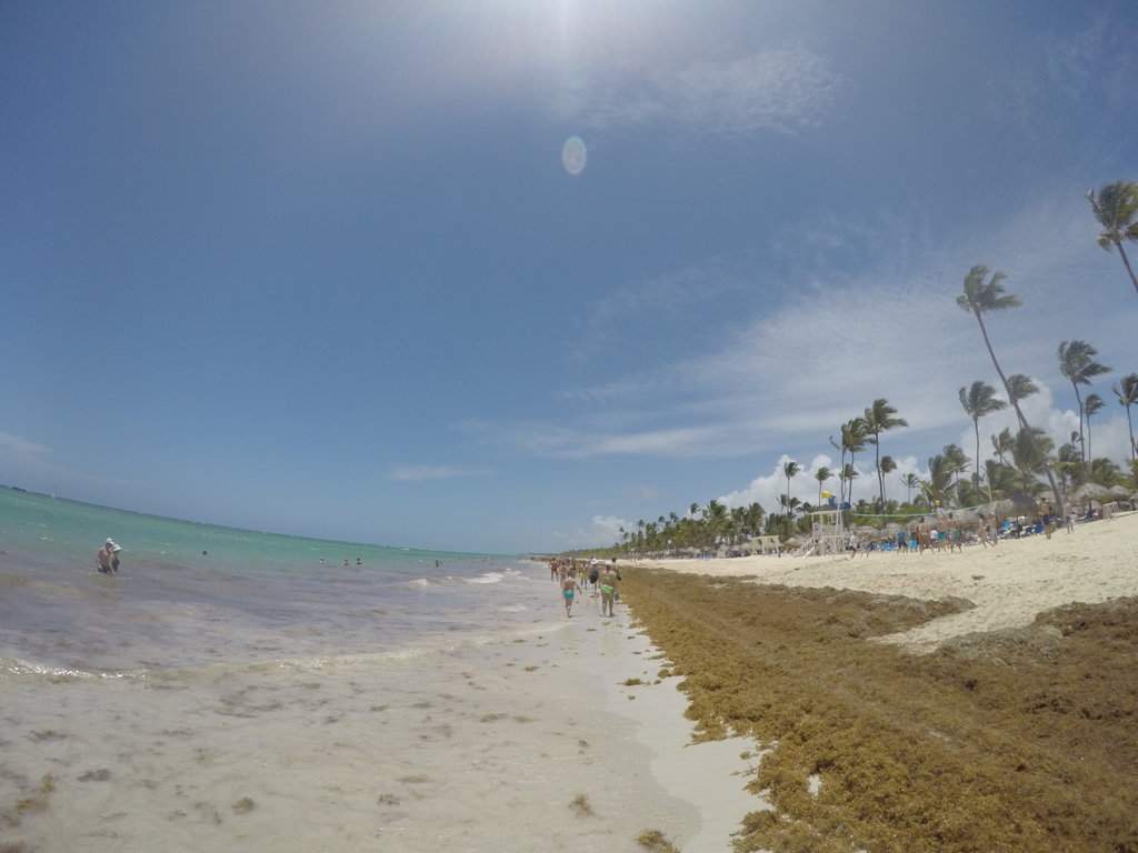 GOPR0363