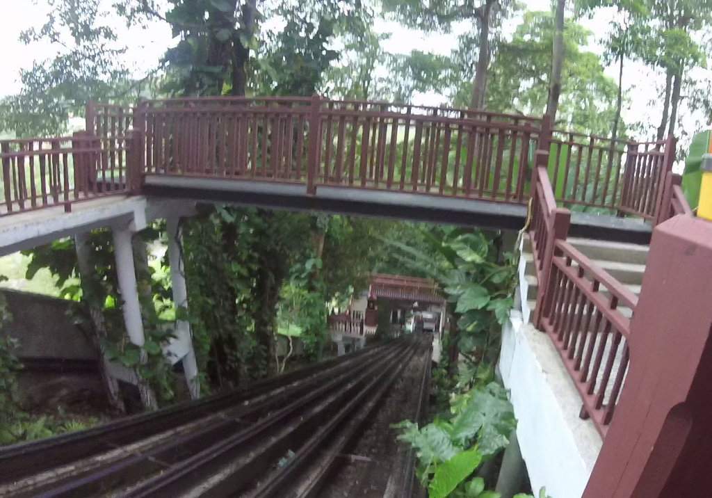 GOPR0367-1
