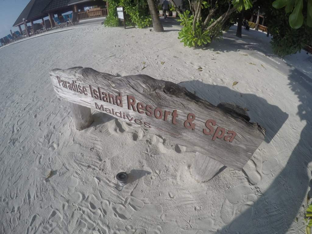 GOPR0625