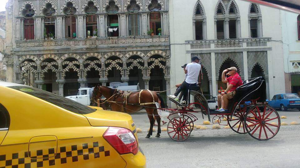 Havana19