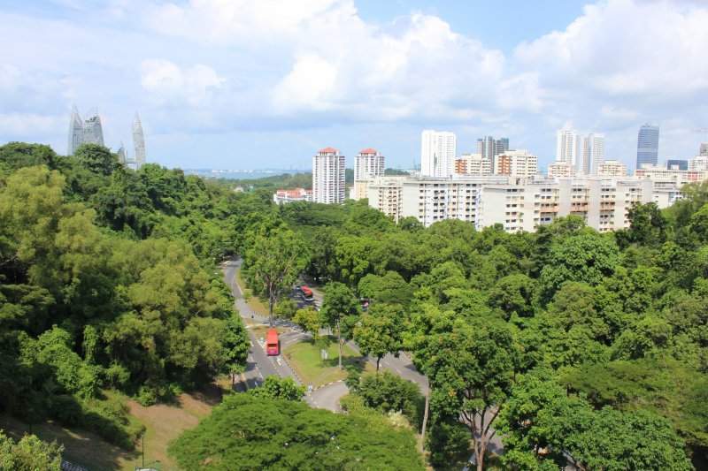@ Henderson Waves
