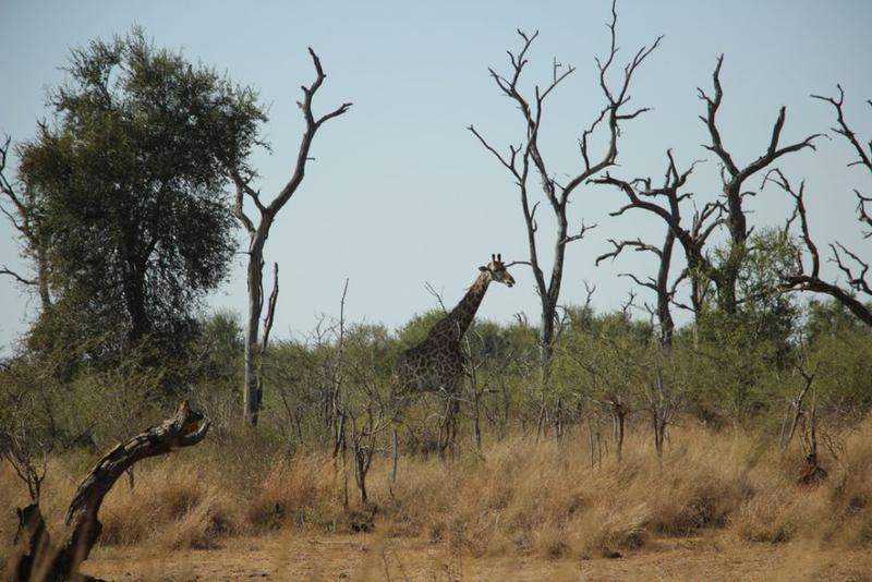 HlaneRoyalPark  (14)