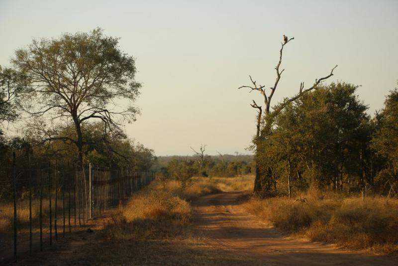 HlaneRoyalPark  (32)