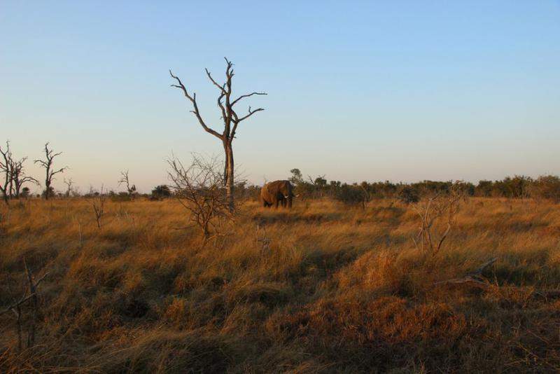 HlaneRoyalPark  (47).jpg