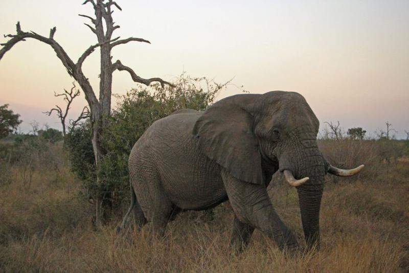 HlaneRoyalPark  (57).jpg