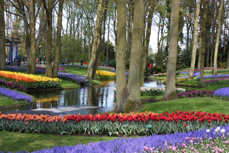 Holanda Dia Da Rainha2010 420