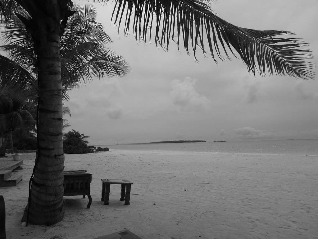 Holiday Island Resort