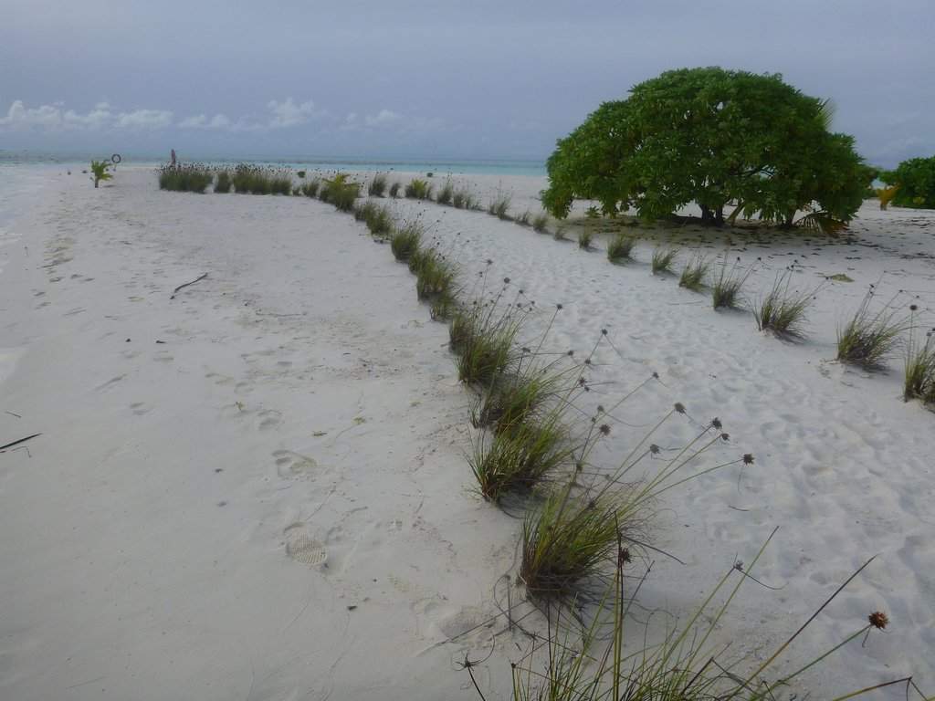 Holiday Island Resort