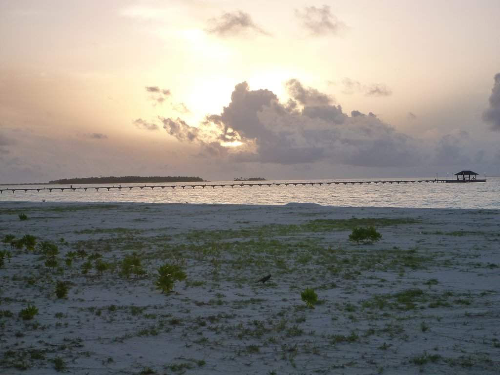 Holiday Island Resort