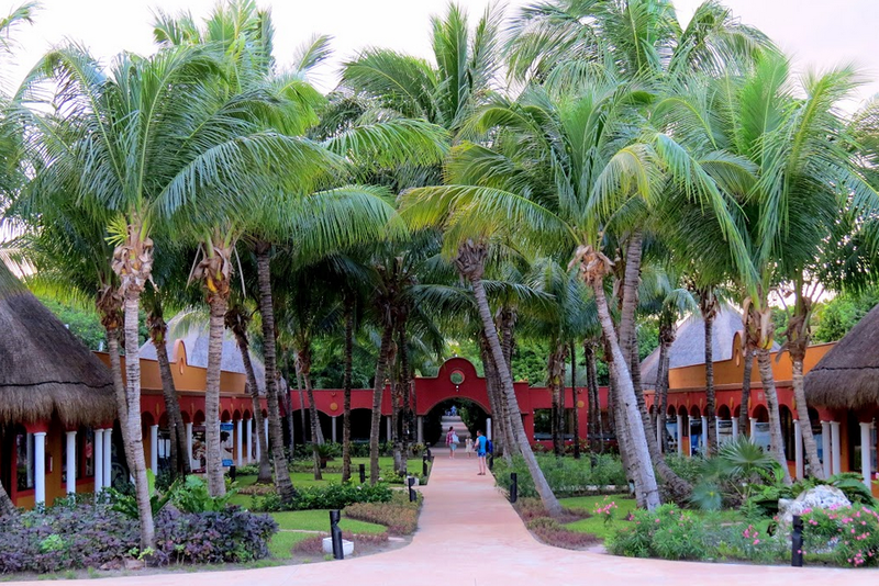 Hotel Catalonia Playa Maroma