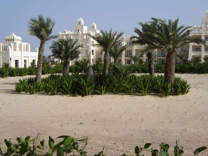 Hotel Riu