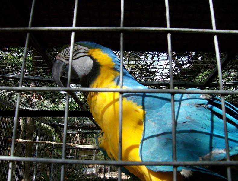 HPIM2663