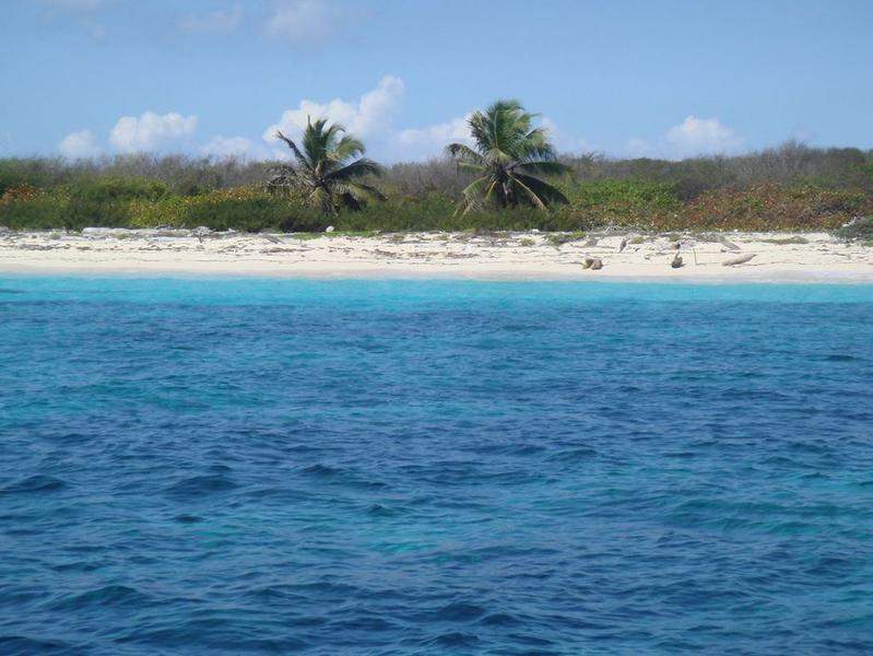 Ilha Catalina
