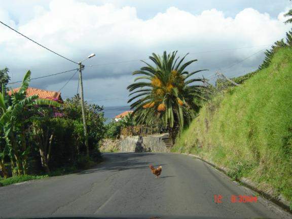 Ilha da Madeira