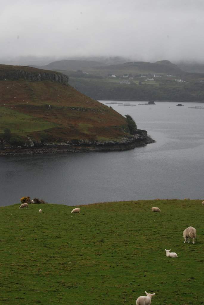 Ilha de Skye