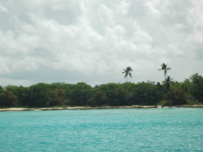ilha saona