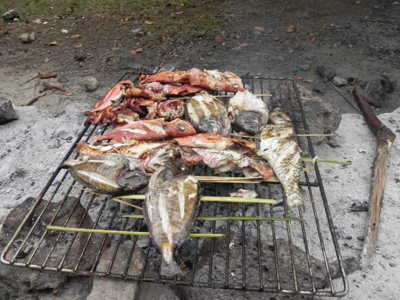 Ilhéu Rolas 40