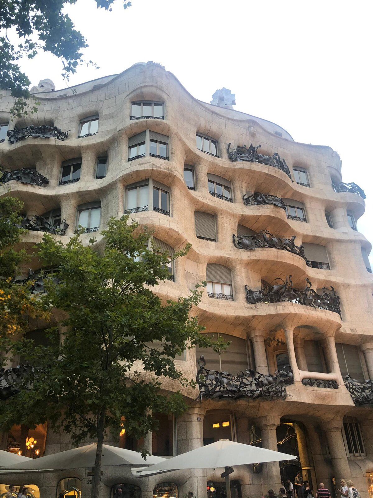 image00134.jpeg