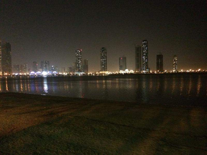 IMG 0311