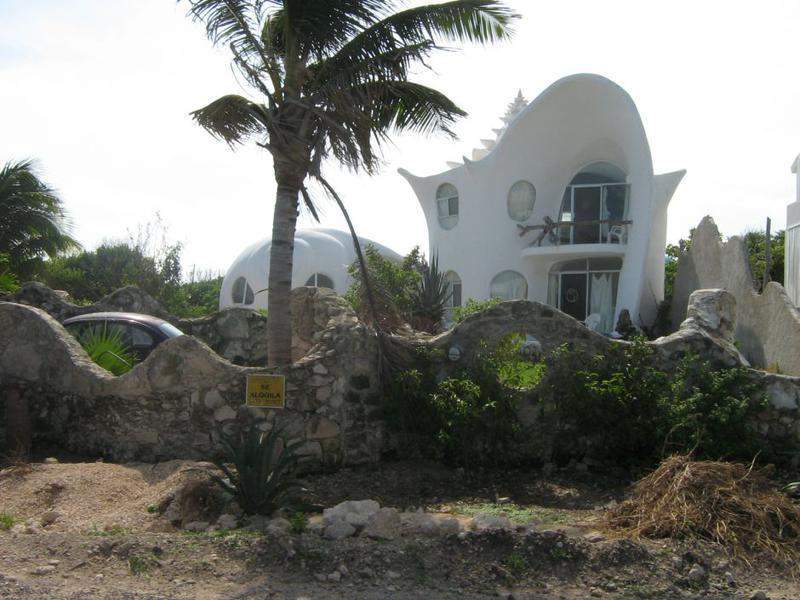 IMG 0375