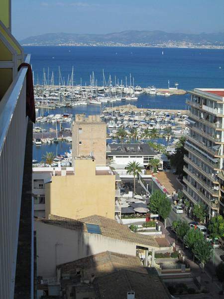 IMG 0419