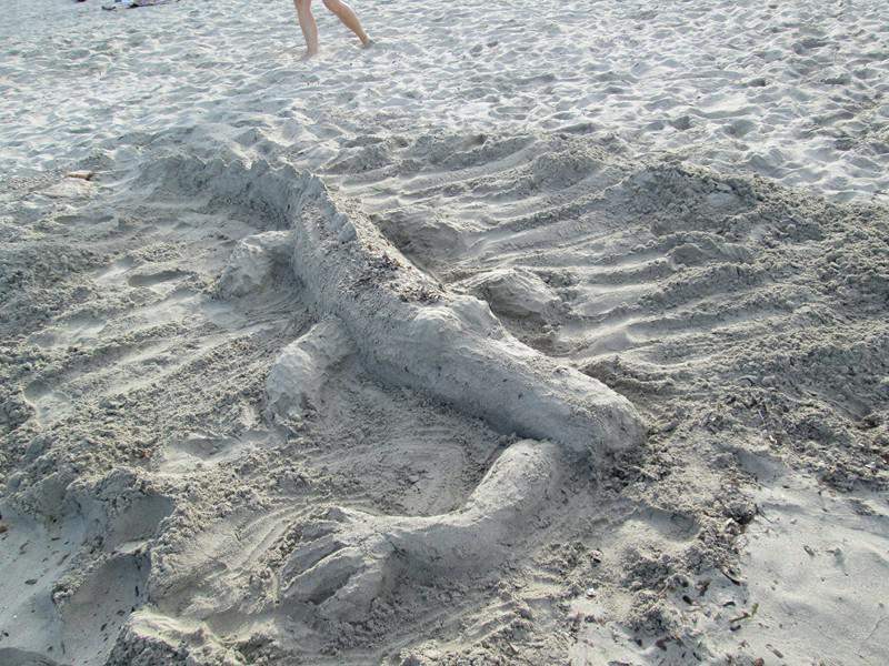 IMG 0448