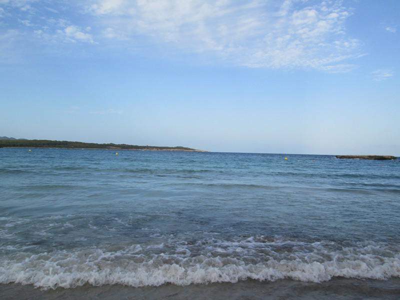 IMG 0449