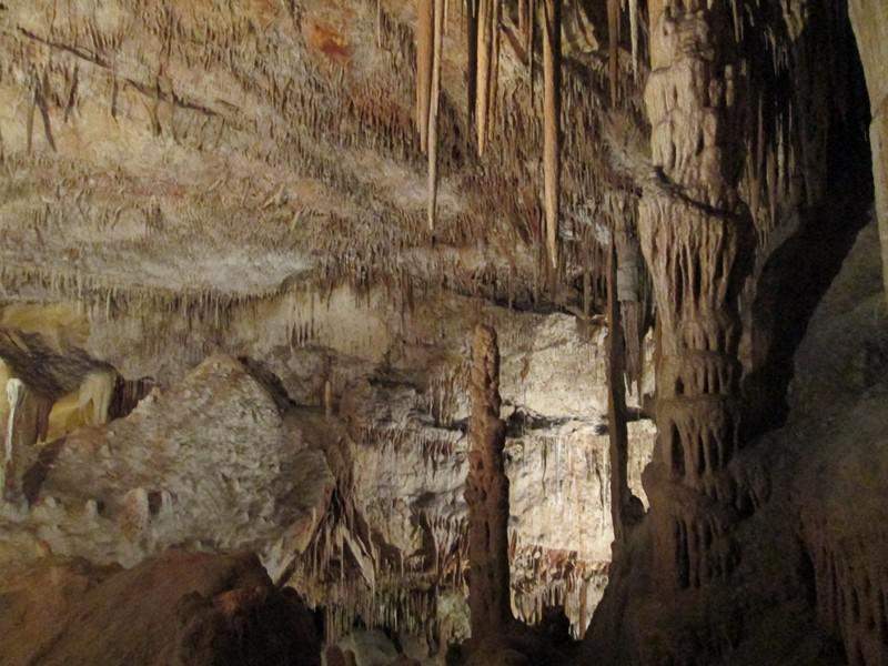IMG 0481