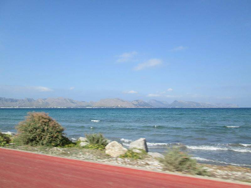 IMG 0519