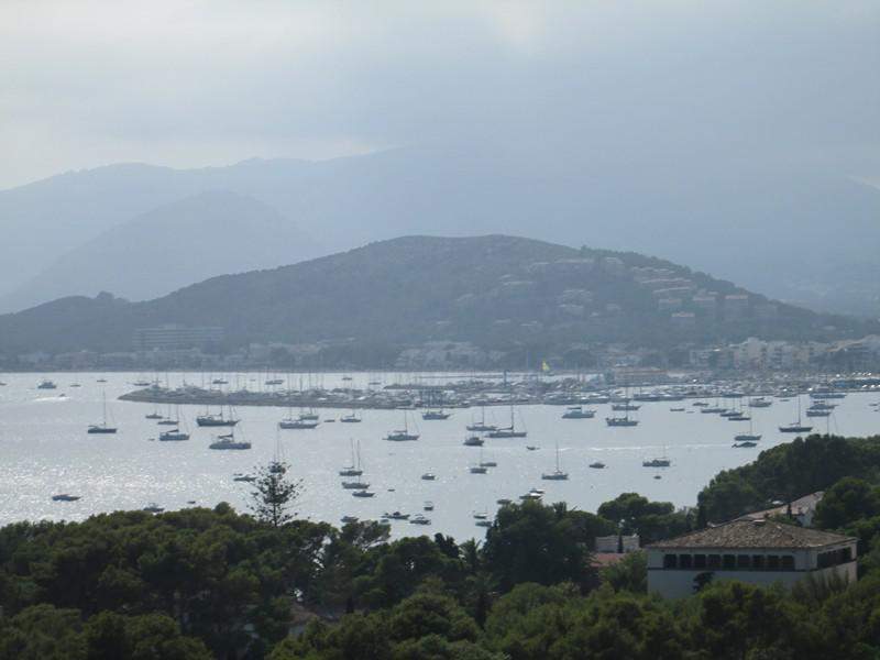 IMG 0533