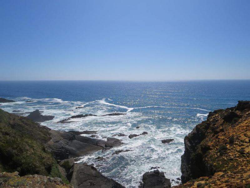 IMG 0693