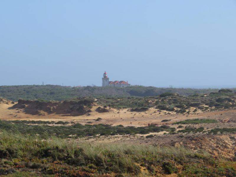 IMG 0715