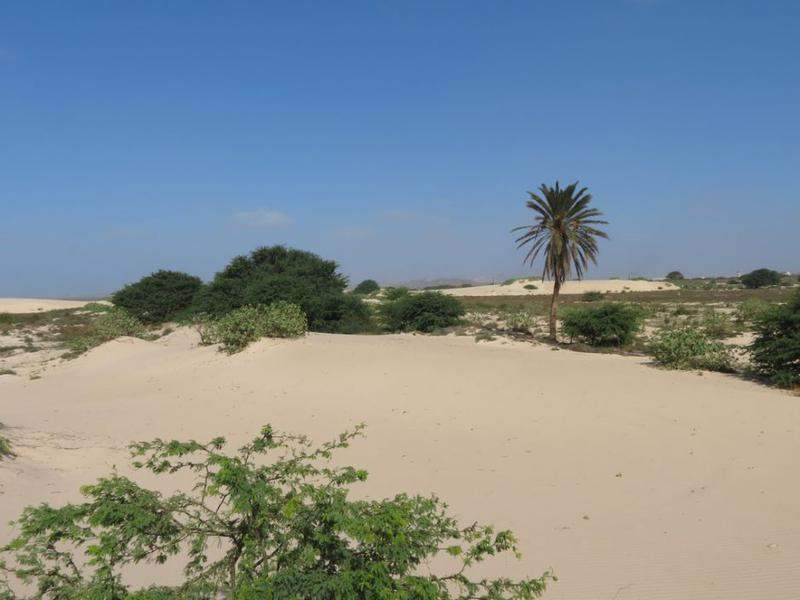 IMG 0792 (Copiar)