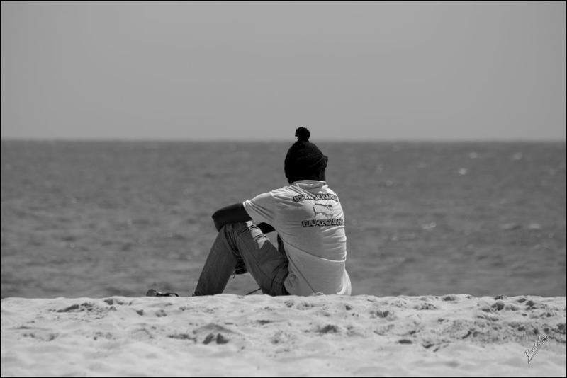 IMG 0804 (Cópia)