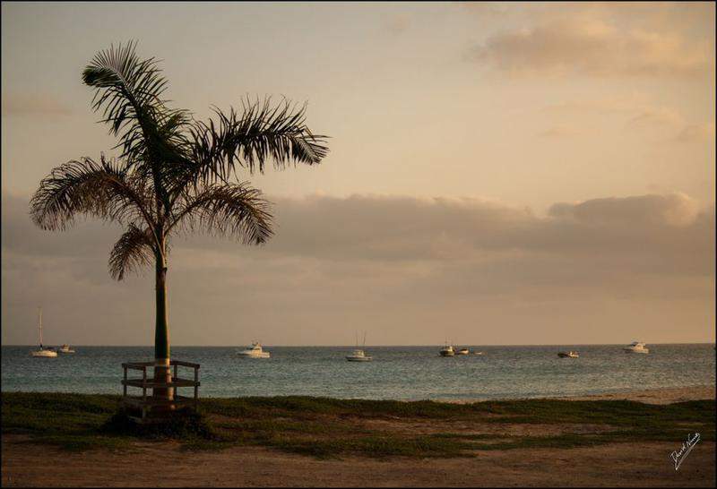 IMG 0846 (Cópia)