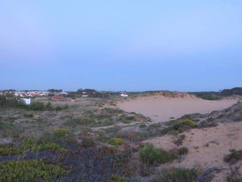 IMG 0883