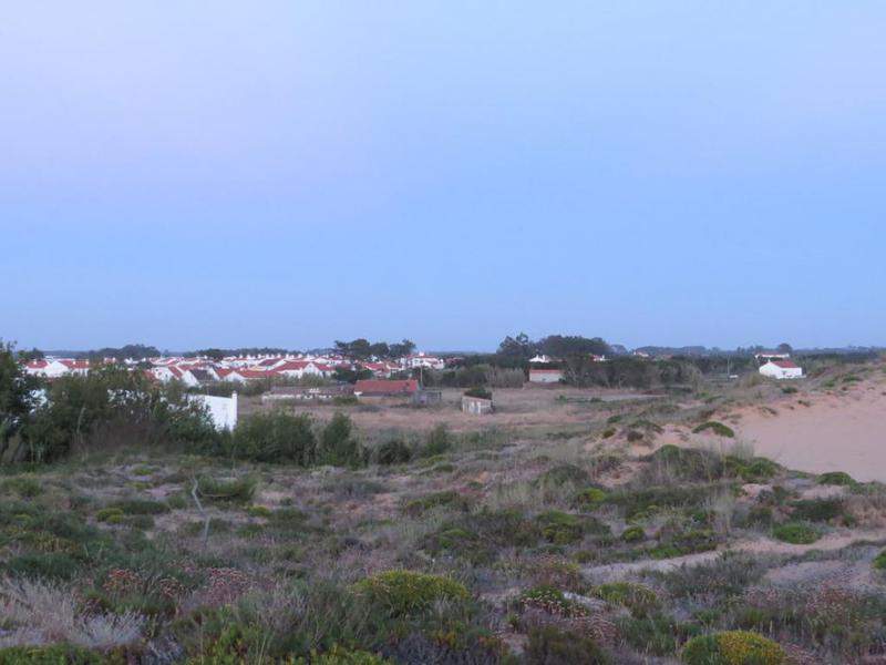 IMG 0884