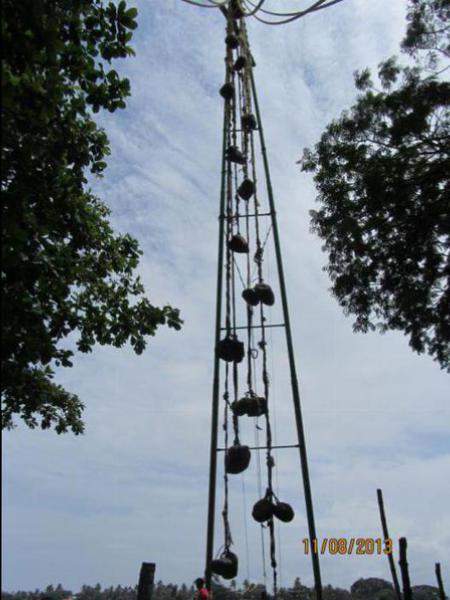 IMG 0889