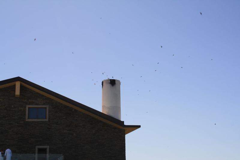 IMG 0945