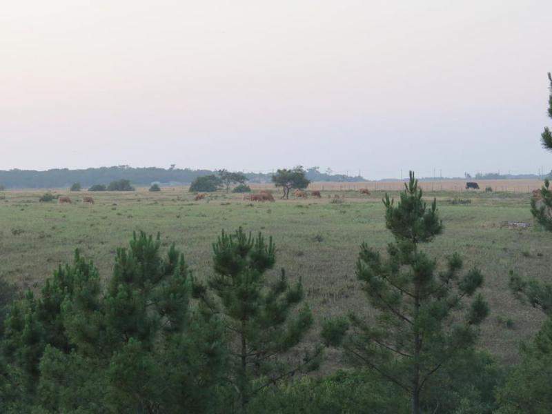 IMG 0964