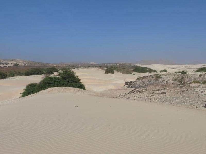 IMG 0977 (Copiar)