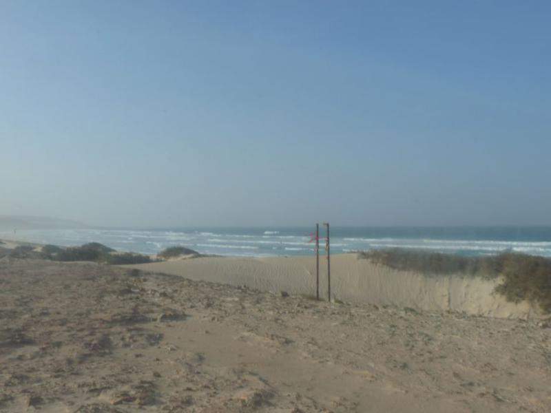 IMG 1041 (Copiar)