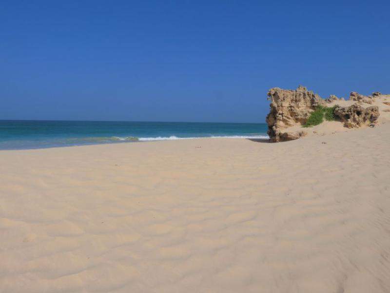 IMG 1495 (Copiar)