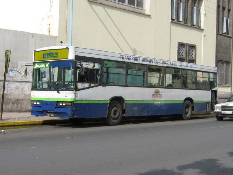 IMG 1885