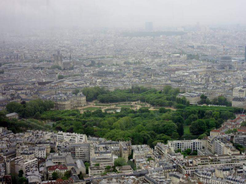 IMG (20)