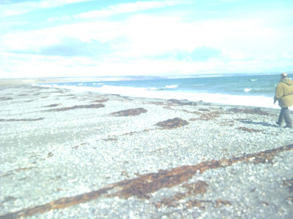 IMG-20120309-00058
