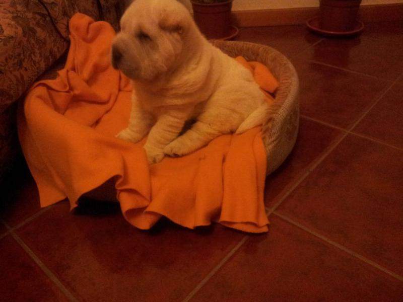 IMG 20121210 234113