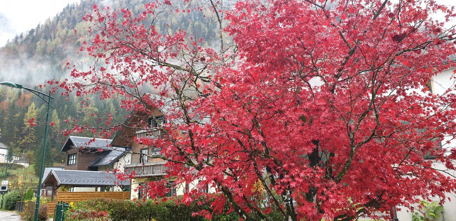 IMG-20191029-WA0125.jpg