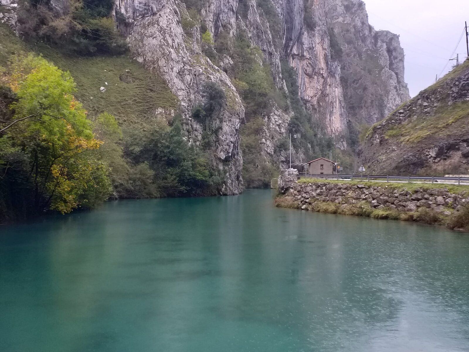 IMG-20191104-WA0016.jpg